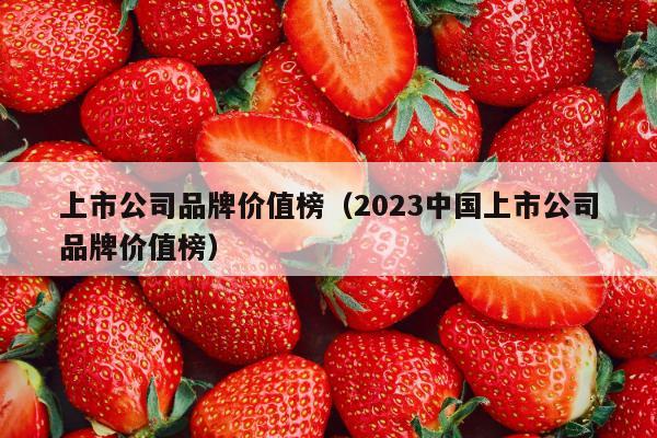 上市公司品牌价值榜（2023中国上市公司品牌价值榜）