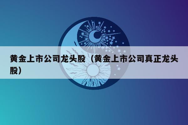 黄金上市公司龙头股（黄金上市公司真正龙头股）