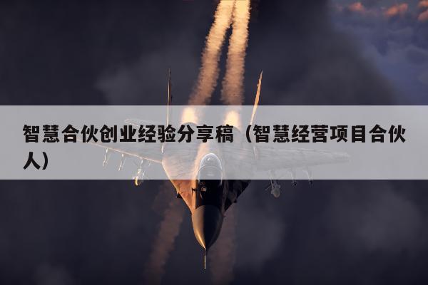 智慧合伙创业经验分享稿（智慧经营项目合伙人）