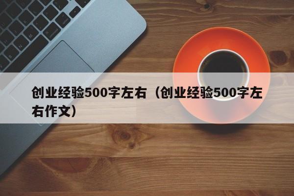 创业经验500字左右（创业经验500字左右作文）