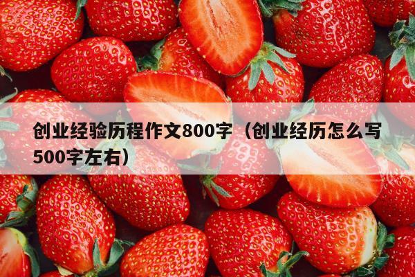 创业经验历程作文800字（创业经历怎么写500字左右）