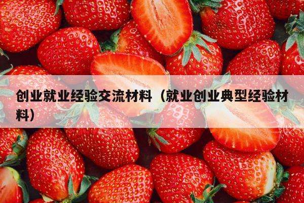 创业就业经验交流材料（就业创业典型经验材料）