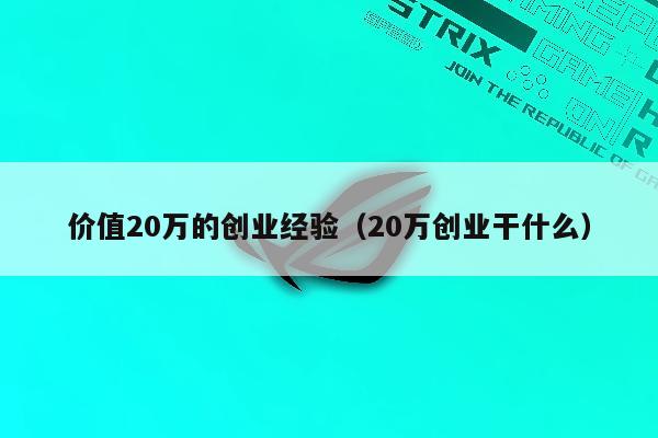 价值20万的创业经验（20万创业干什么）