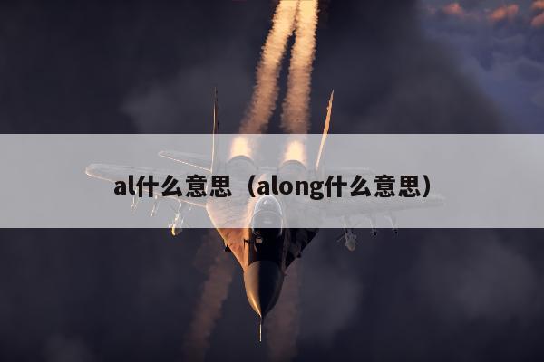 al什么意思（along什么意思）