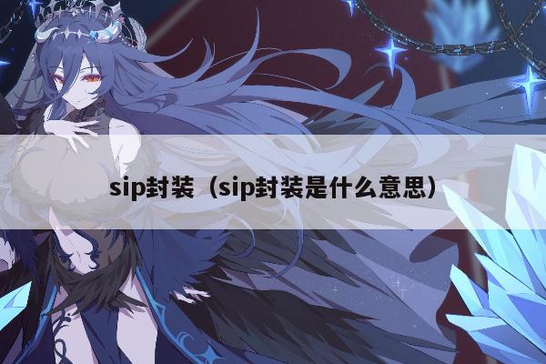 sip封装（sip封装是什么意思）