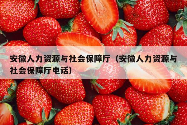 安徽人力资源与社会保障厅（安徽人力资源与社会保障厅电话）