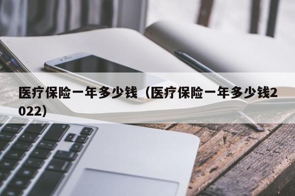 医疗保险一年多少钱（医疗保险一年多少钱2022）