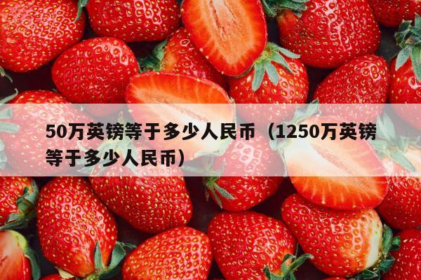 50万英镑等于多少人民币（1250万英镑等于多少人民币）