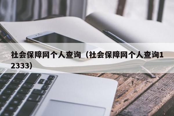 社会保障网个人查询（社会保障网个人查询12333）