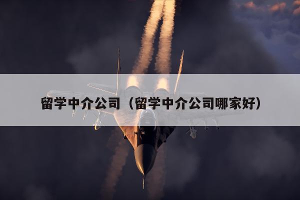 留学中介公司（留学中介公司哪家好）