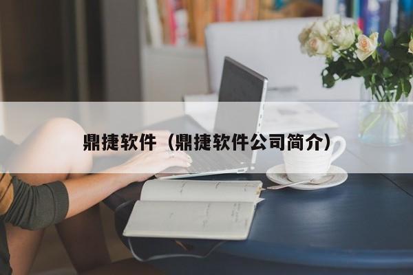 鼎捷软件（鼎捷软件公司简介）