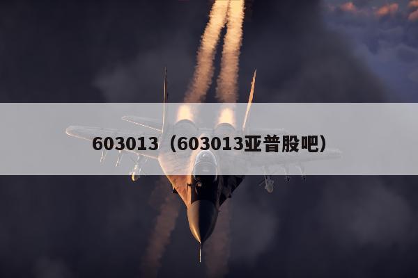 603013（603013亚普股吧）