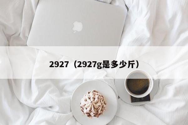 2927（2927g是多少斤）