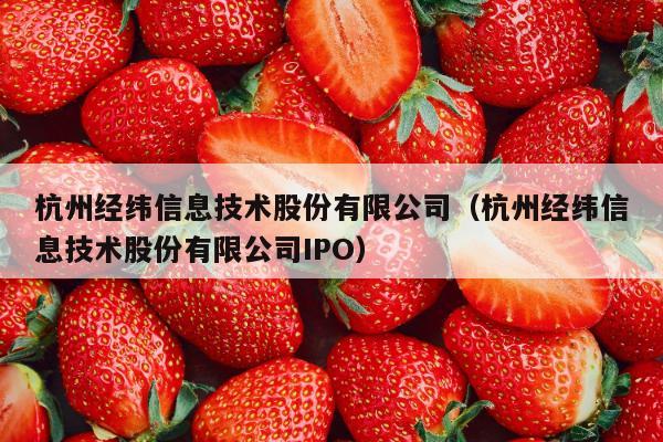 杭州经纬信息技术股份有限公司（杭州经纬信息技术股份有限公司IPO）