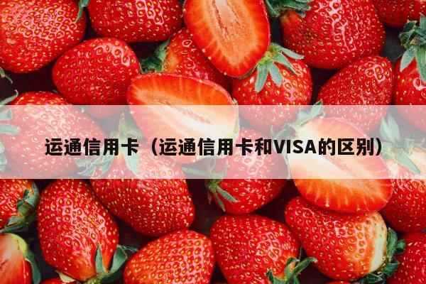 运通信用卡（运通信用卡和VISA的区别）