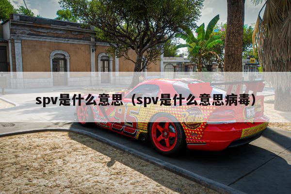 spv是什么意思（spv是什么意思病毒）