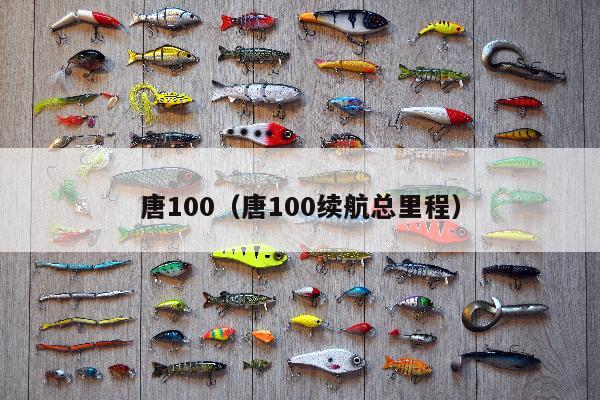 唐100（唐100续航总里程）