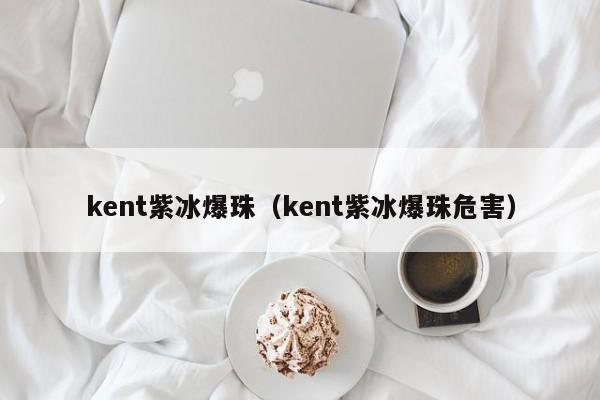 kent紫冰爆珠（kent紫冰爆珠危害）