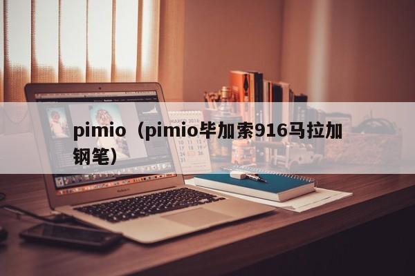 pimio（pimio毕加索916马拉加钢笔）