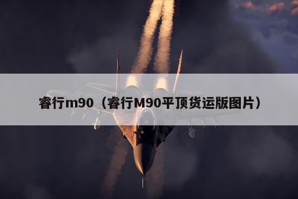 睿行m90（睿行M90平顶货运版图片）