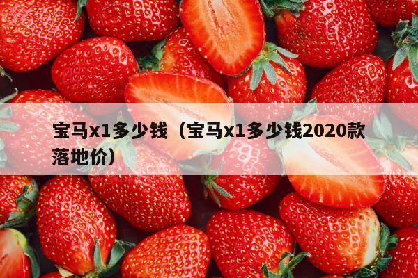 宝马x1多少钱（宝马x1多少钱2020款落地价）