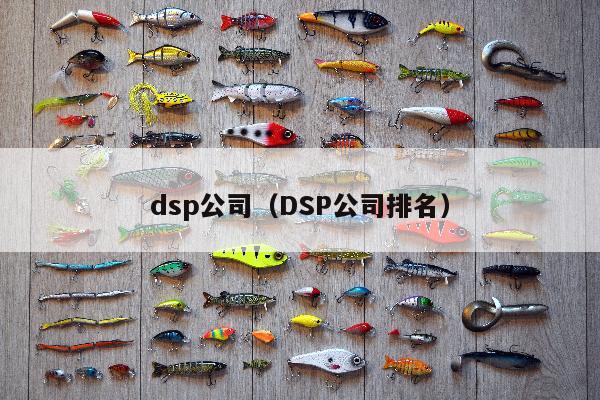 dsp公司（DSP公司排名）