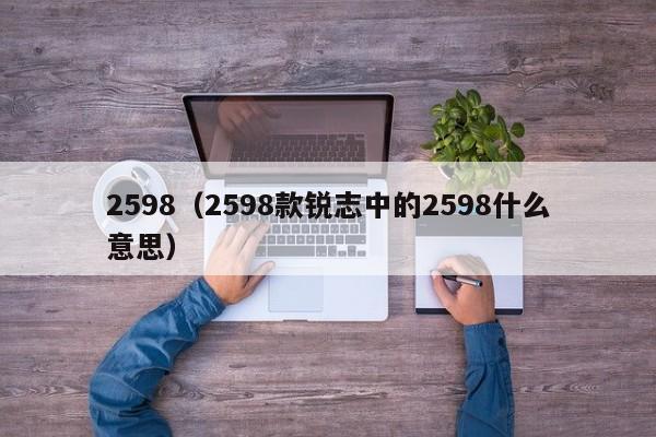 2598（2598款锐志中的2598什么意思）