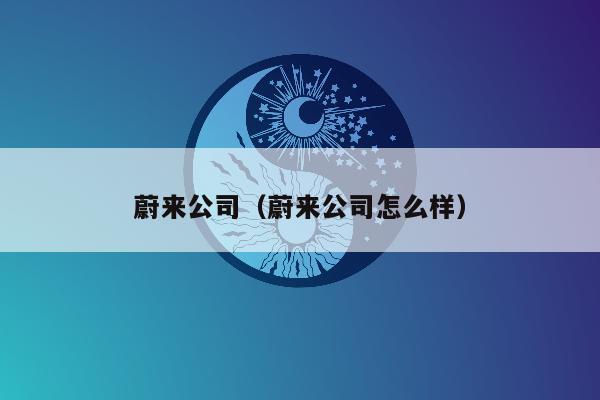 蔚来公司（蔚来公司怎么样）