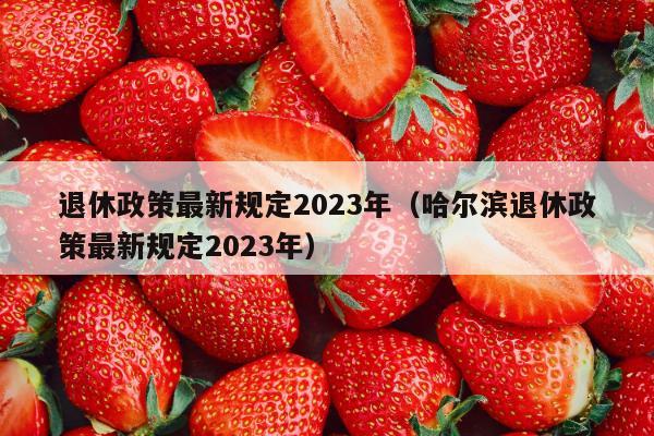 退休政策最新规定2023年（哈尔滨退休政策最新规定2023年）