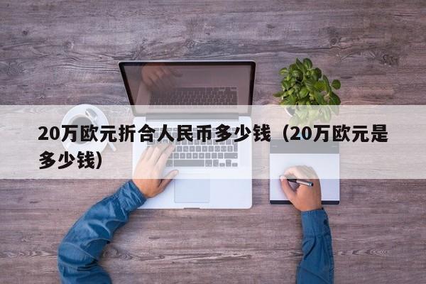 20万欧元折合人民币多少钱（20万欧元是多少钱）