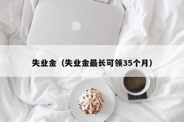 失业金（失业金最长可领35个月）