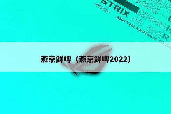 燕京鲜啤（燕京鲜啤2022）