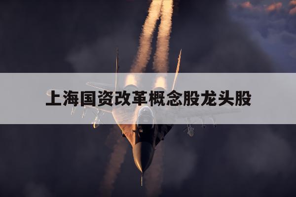 上海国资改革概念股龙头股「上海国资改革概念股龙头股属于国盛集团的」