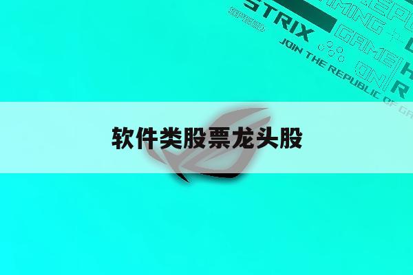 软件类股票龙头股「软件龙头股票有哪些2021」