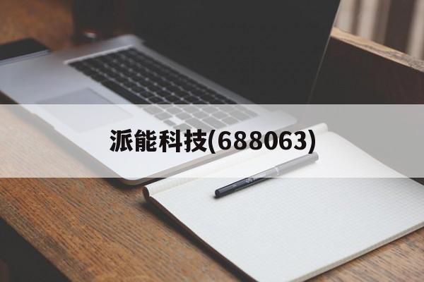 派能科技(688063)「派能科技688063股票重组」