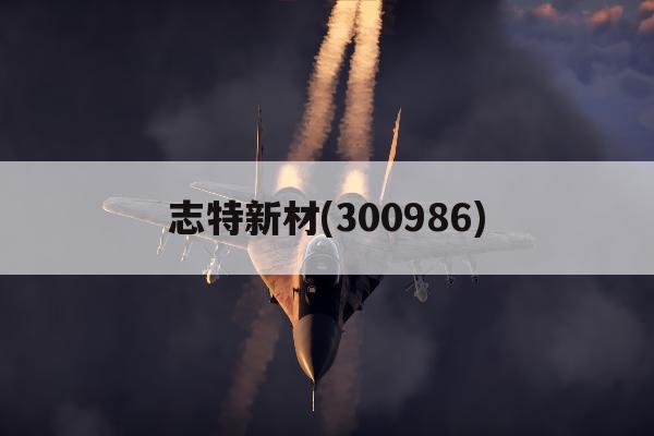 志特新材(300986)「志特新材300986最新消息」