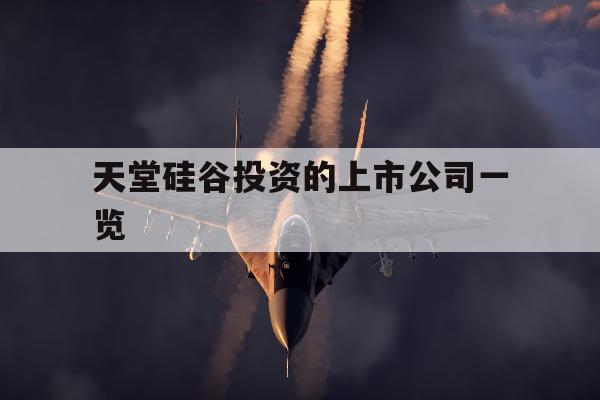 天堂硅谷投资的上市公司一览的简单介绍