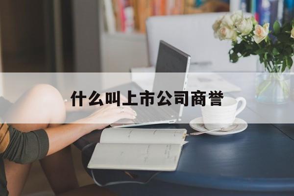 什么叫上市公司商誉「什么叫上市公司商誉减值」