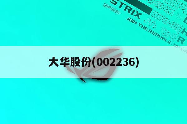 大华股份(002236)「大华股份002236大单统计一股票行情情一网易财经」