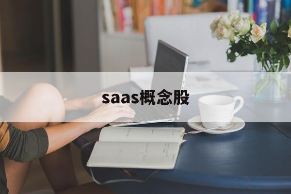 saas概念股「saas概念股大涨」