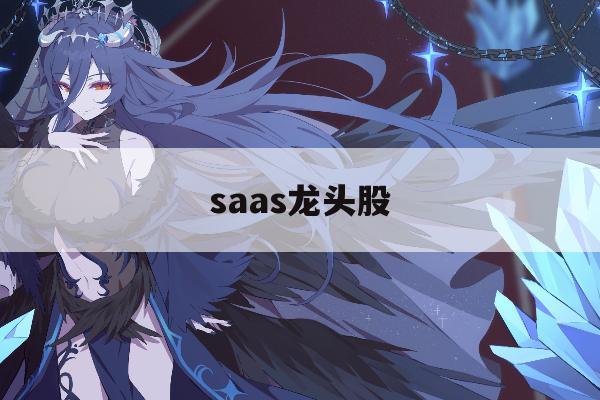 saas龙头股「saas龙头企业」