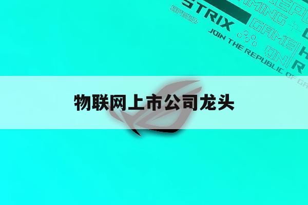 物联网上市公司龙头「物联网上市公司龙头股有哪些」