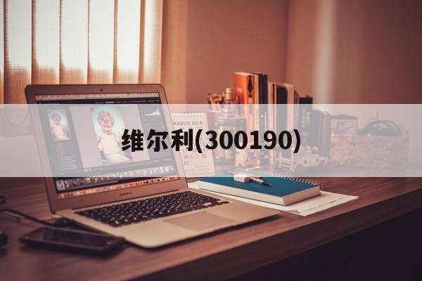 维尔利(300190)「维尔利300190股吧」