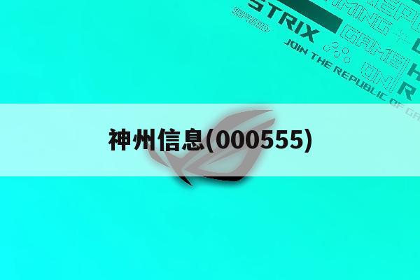 神州信息(000555)「神州信息000555股吧」