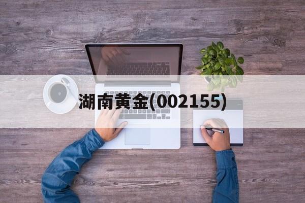 湖南黄金(002155)「湖南黄金002155股吧」