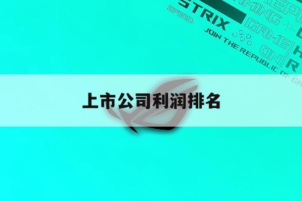 上市公司利润排名「毛利率最高的股票排名」